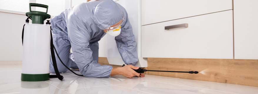 Cleaning service under counter